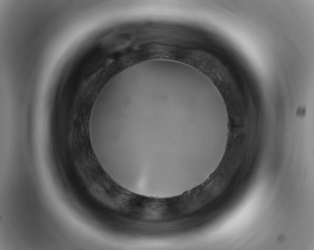 X0000102500143200808221803