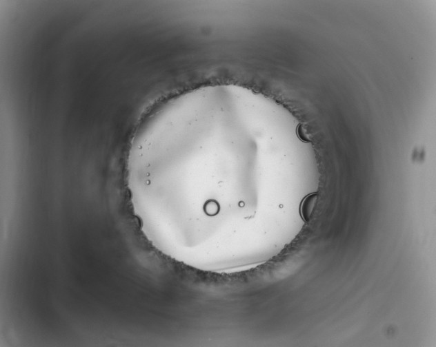 X0000102500144200808221803