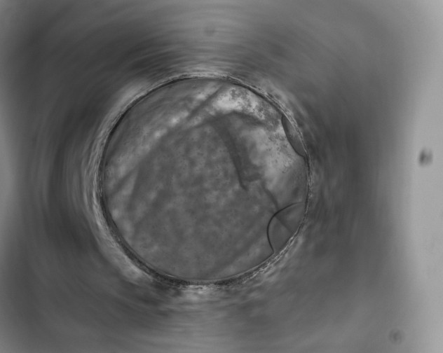 X0000102500145200808221802