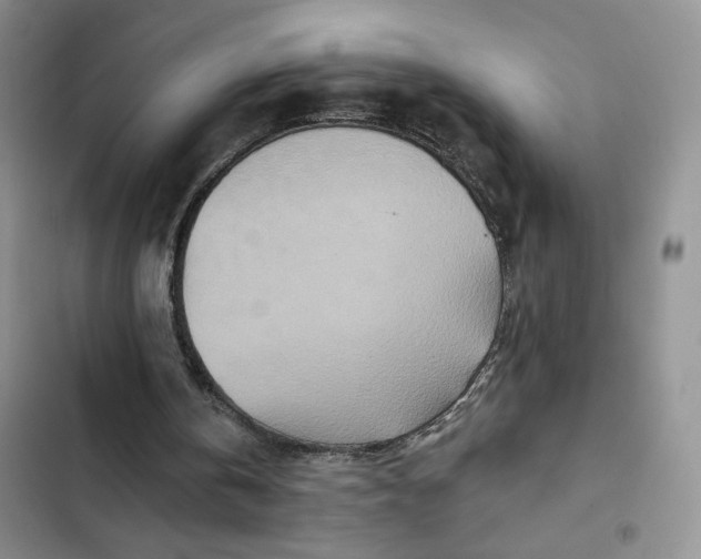 X0000102500146200808221802