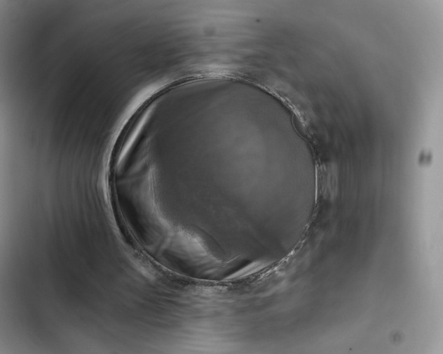 X0000102500147200808221802