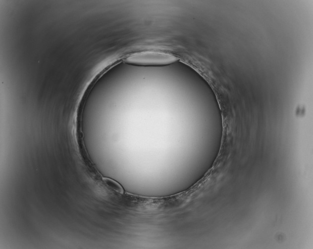 X0000102500148200808221802