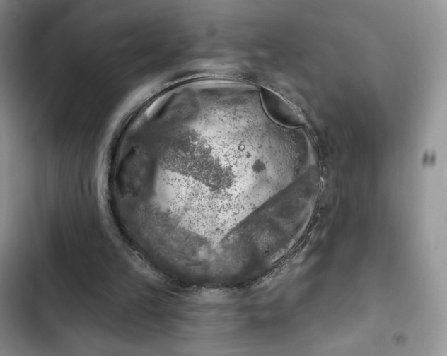 X0000102500149200808221802