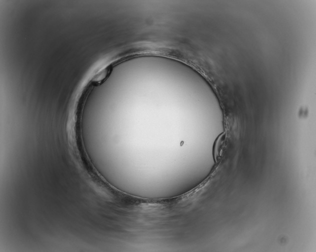 X0000102500150200808221802