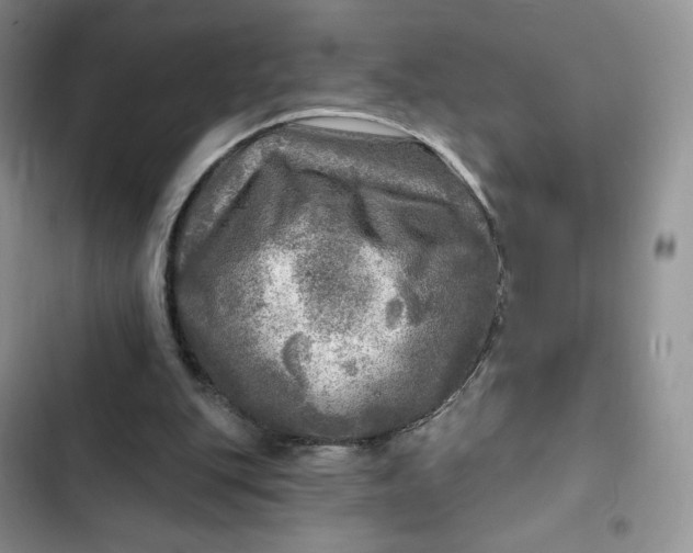 X0000102500151200808221802