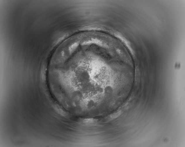 X0000102500153200808221802