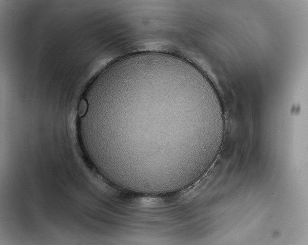 X0000102500154200808221802