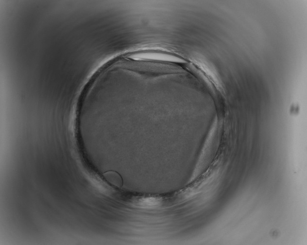 X0000102500156200808221802