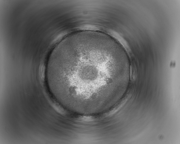 X0000102500157200808221802