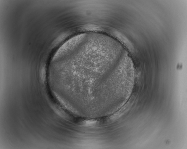 X0000102500158200808221802