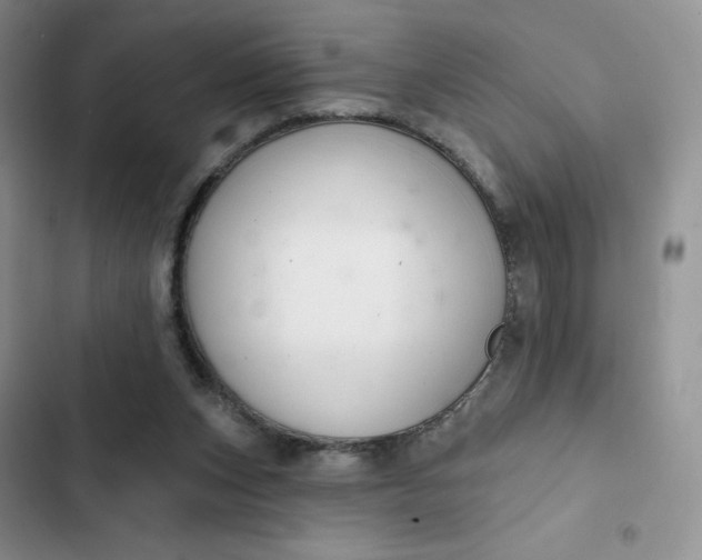 X0000102500159200808221802