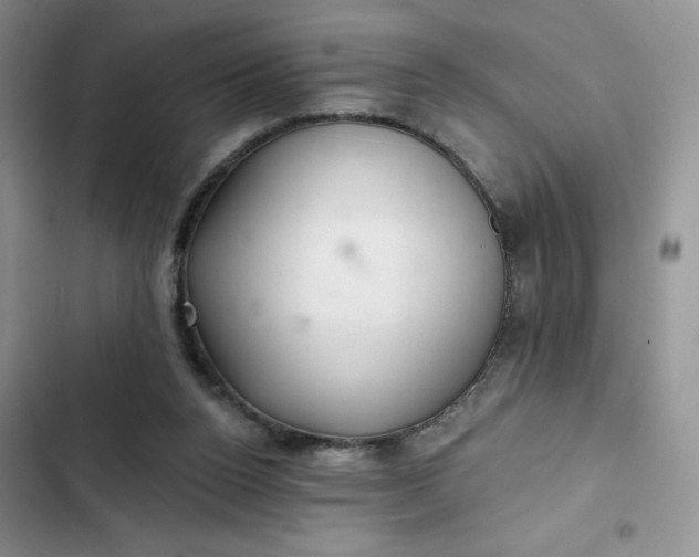 X0000102500160200808221802