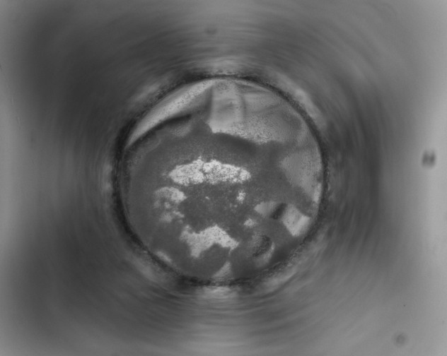 X0000102500161200808221802