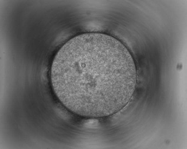 X0000102500162200808221802