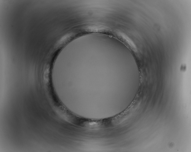 X0000102500163200808221802