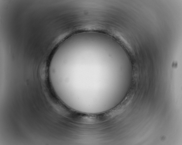 X0000102500164200808221802