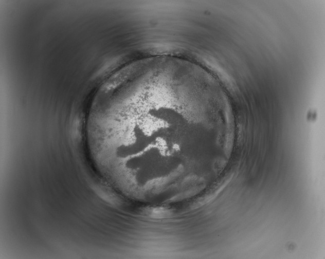 X0000102500165200808221802