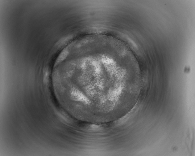 X0000102500166200808221802