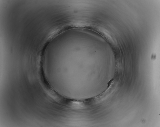 X0000102500167200808221802