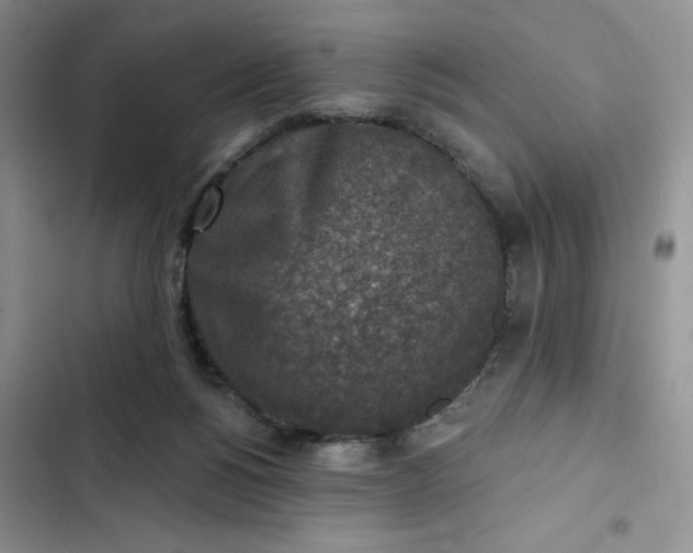 X0000102500168200808221802