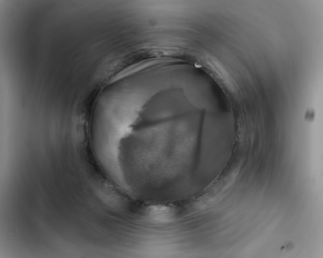 X0000102500169200808221802