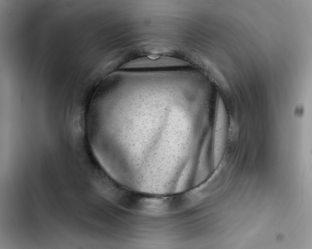 X0000102500170200808221802