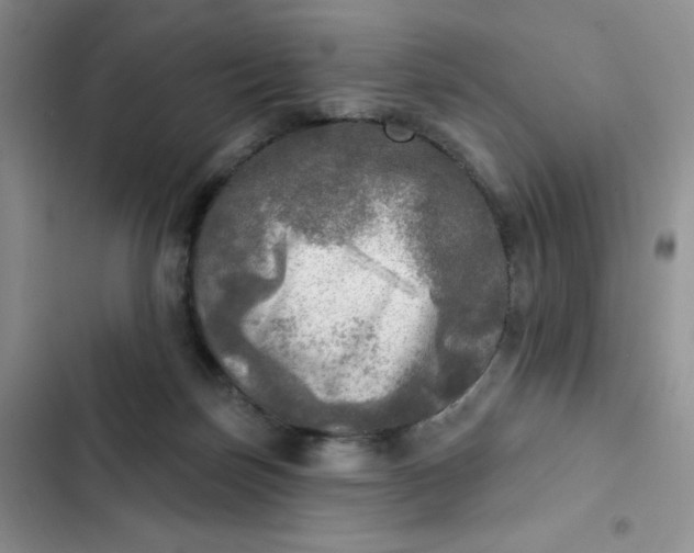 X0000102500171200808221802