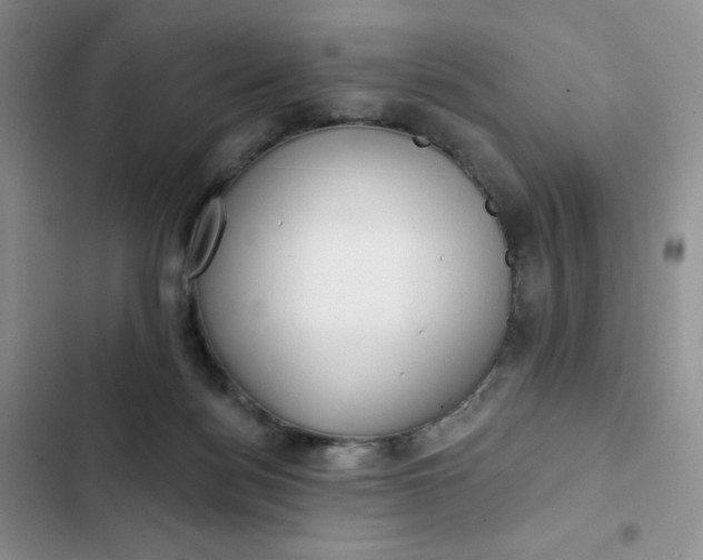 X0000102500172200808221802