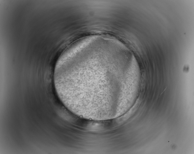 X0000102500174200808221802