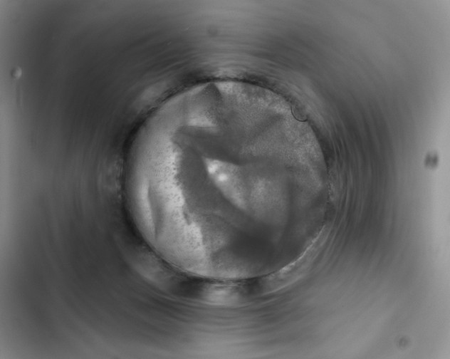 X0000102500175200808221802