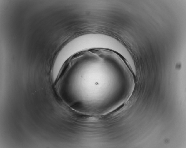 X0000102500176200808221802