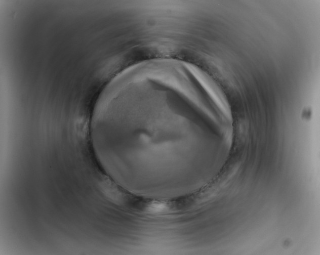 X0000102500177200808221802