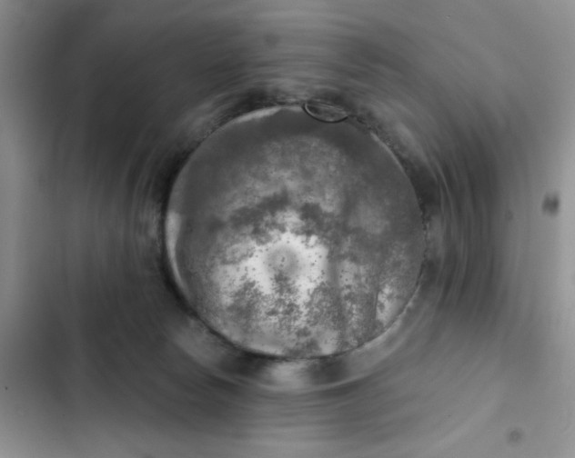 X0000102500178200808221802