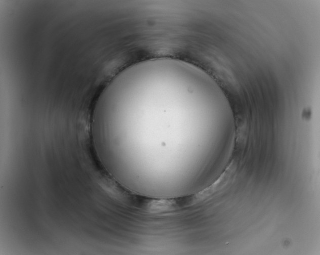 X0000102500179200808221802