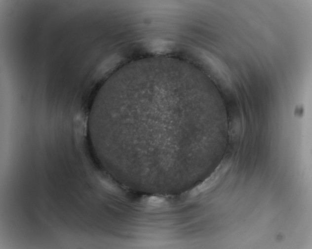 X0000102500180200808221802