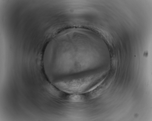 X0000102500181200808221802