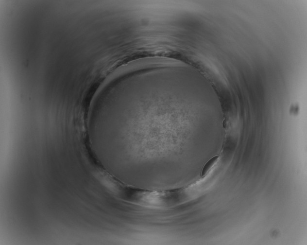 X0000102500182200808221802