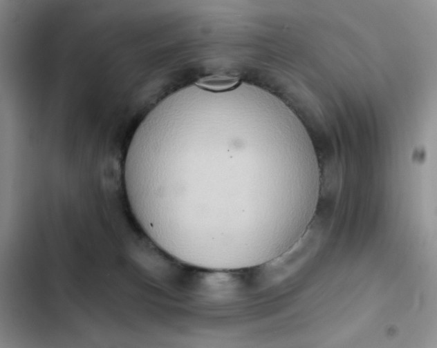 X0000102500183200808221802