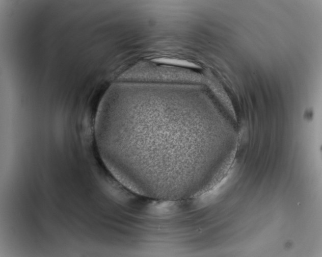 X0000102500186200808221803