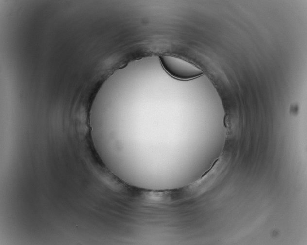 X0000102500187200808221803