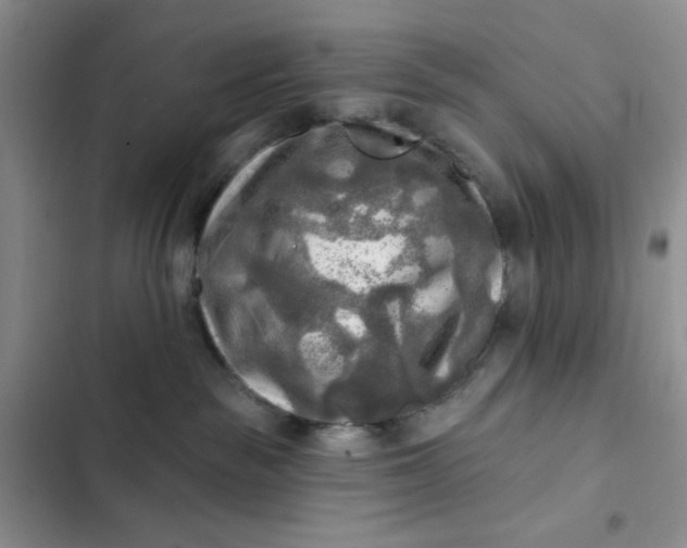 X0000102500189200808221803