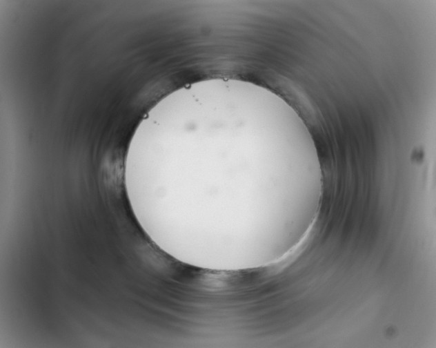 X0000102500190200808221803