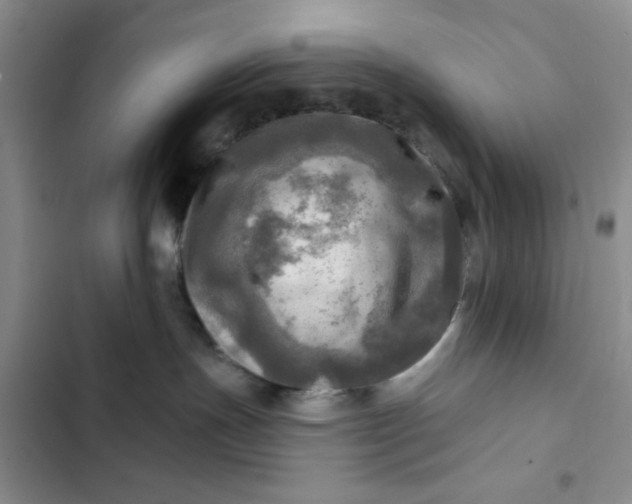 X0000102500191200808221803