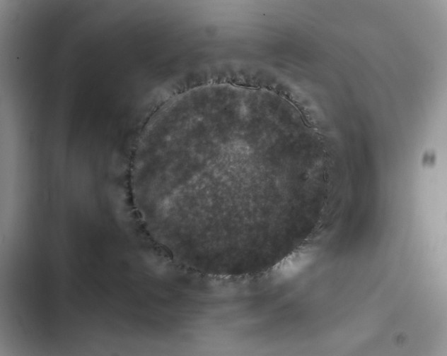 X0000102500192200808221803