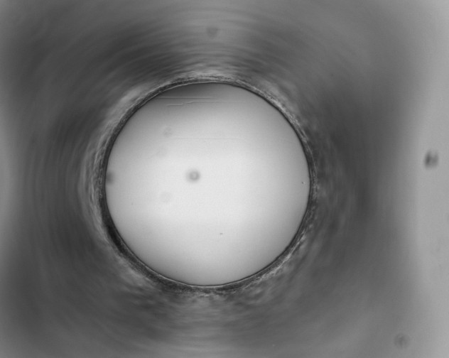 X0000102500193200808221802