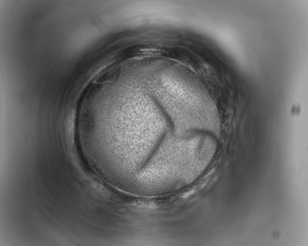 X0000102500194200808221802