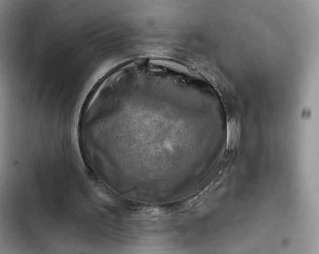 X0000102500195200808221802