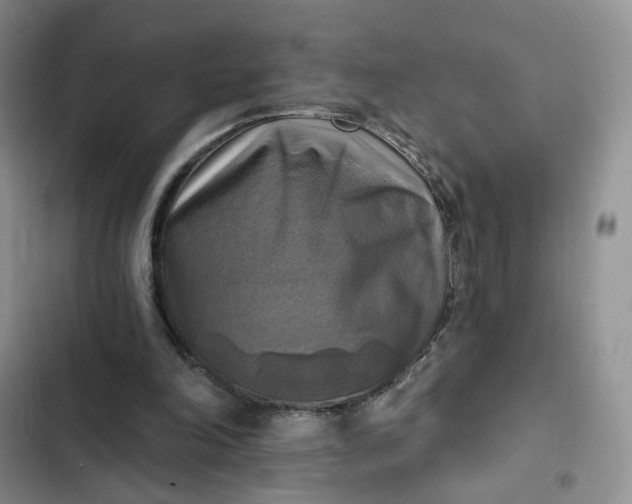 X0000102500198200808221802