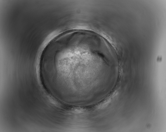 X0000102500199200808221802