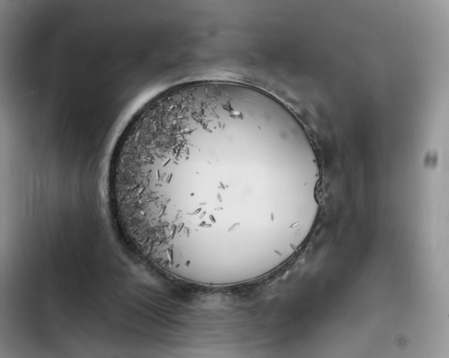 X0000102500200200808221802